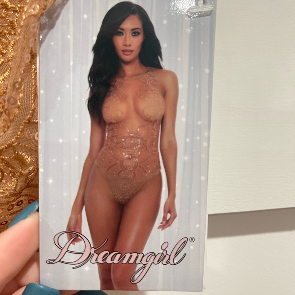 Sheer mocha body suit